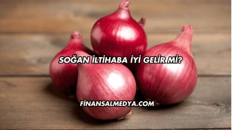 Soğan İltihaba İyi Gelir mi?