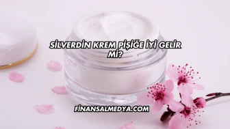 Silverdin Krem Pişiğe İyi Gelir mi?