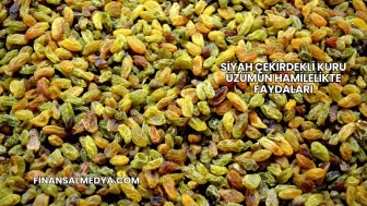 Siyah Çekirdekli Kuru Üzümün Hamilelikte Faydaları