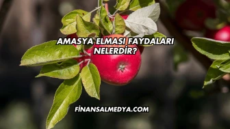 Amasya Elması Faydaları Nelerdir?