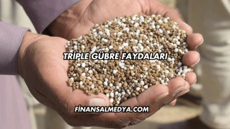 Triple Gübre Faydaları