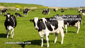 Hayvan Çiftliği Kurulum Maliyeti 2025