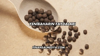 Yenibaharın Faydaları