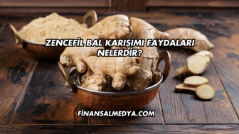 Zencefil Bal Karışımı Faydaları Nelerdir?