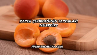 Kayısı Çekirdeğinin Faydaları Nelerdir?