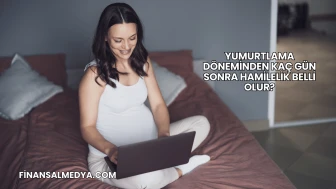 Yumurtlama Döneminden Kaç Gün Sonra Hamilelik Belli Olur?