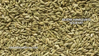 Rezene Hamilelikte İçilir mi?
