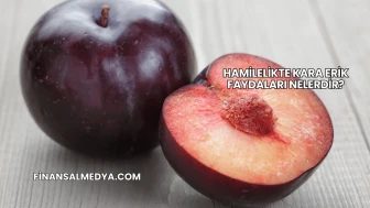 Hamilelikte Kara Erik Faydaları Nelerdir?