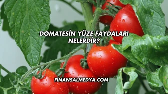 Domatesin Yüze Faydaları Nelerdir?