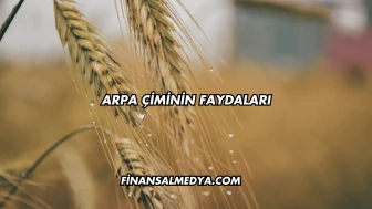 Arpa Çiminin Faydaları