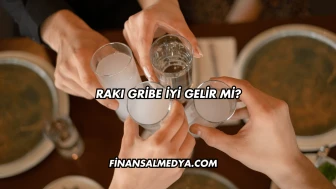 Rakı Gribe İyi Gelir mi?