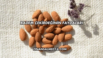 Badem Çekirdeğinin Faydaları