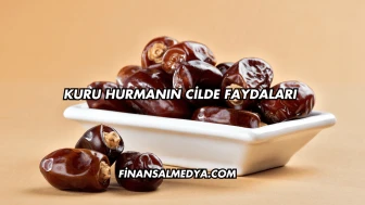 Kuru Hurmanın Cilde Faydaları