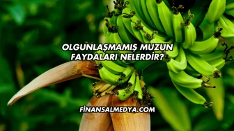 Olgunlaşmamış Muzun Faydaları Nelerdir?