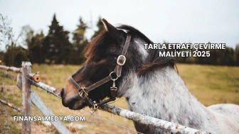 Tarla Etrafı Çevirme Maliyeti 2025