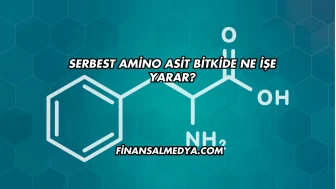 Serbest Amino Asit Bitkide Ne İşe Yarar?