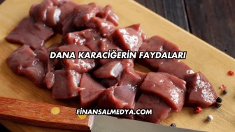 Dana Karaciğerin Faydaları