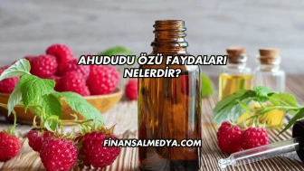 Ahududu Özü Faydaları Nelerdir?