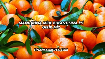 Mandalina Mide Bulantısına İyi Gelir mi?