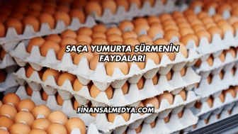 Saça Yumurta Sürmenin Faydaları