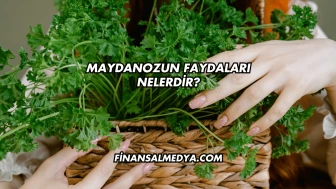 Maydanozun Faydaları Nelerdir?