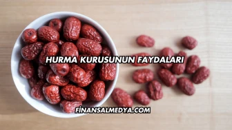 Hurma Kurusunun Faydaları
