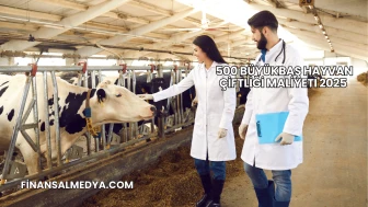 500 Büyükbaş Hayvan Çiftliği Maliyeti 2025