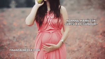 Normal Hamilelik Süresi Kaç Gündür?