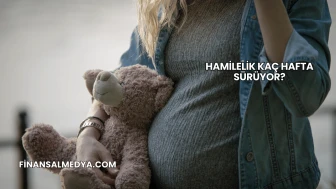 Hamilelik Kaç Hafta Sürüyor?
