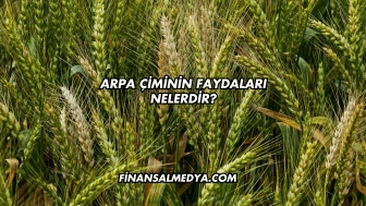 Arpa Çiminin Faydaları Nelerdir?