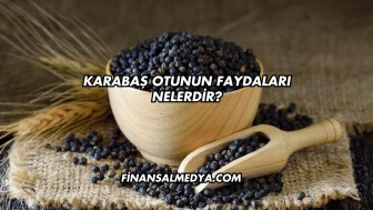 Karabaş Otunun Faydaları Nelerdir?