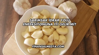 Sarımsak İdrar Yolu Enfeksiyonuna İyi Gelir mi?