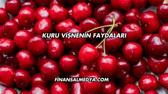Kuru Vişnenin Faydaları
