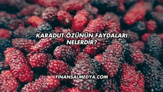 Karadut Özünün Faydaları Nelerdir?