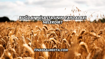 Buğday Nişastasının Faydaları Nelerdir?
