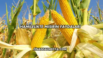Hamilelikte Mısırın Faydaları