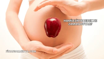 Hamilelikte Bebek Ne Zaman Duyar?