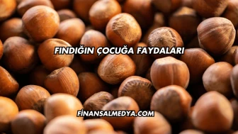 Fındığın Çocuğa Faydaları