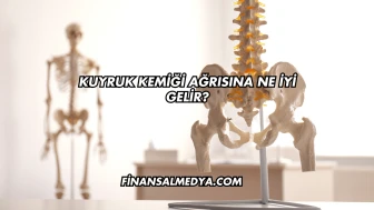 Kuyruk Kemiği Ağrısına Ne İyi Gelir?