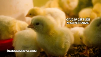 Civciv Çiftliği Maliyeti 2025