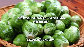 Brüksel Lahanası Faydaları Nelerdir?