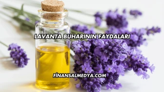 Lavanta Buharının Faydaları