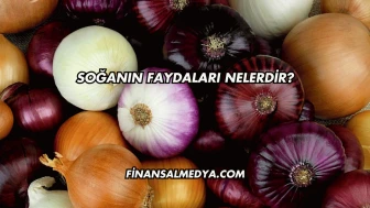 Soğanın Faydaları Nelerdir?
