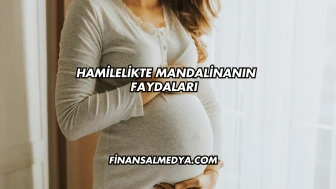 Hamilelikte Mandalinanın Faydaları
