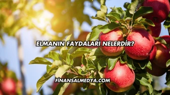 Elmanın Faydaları Nelerdir?