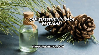 Çam Terebentinin Saça Faydaları