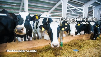 Büyükbaş Besi Çiftliği Maliyeti 2025