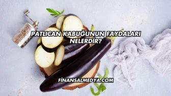 Patlıcan Kabuğunun Faydaları Nelerdir?