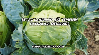Beyaz Lahanayı Çiğ Yemenin Faydaları Nelerdir?
