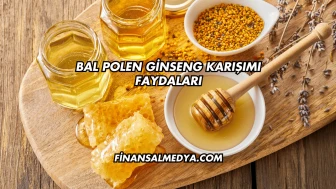 Bal Polen Ginseng Karışımı Faydaları